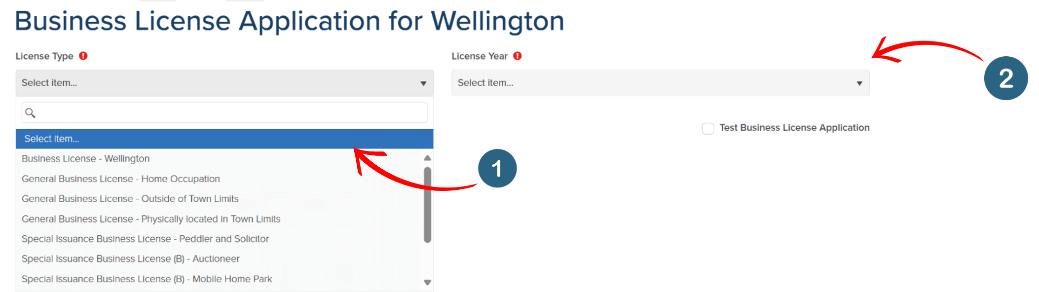 Select Business License Application Type and Year 